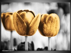 Glas schilderij Tulpen | Goud, Wit, Grijs
