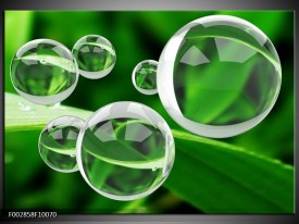Glas schilderij Cirkel | Groen, Wit
