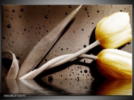 Foto canvas schilderij Tulpen | Geel, Bruin