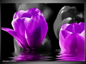 Glas schilderij Tulpen | Paars, Zwart, Grijs