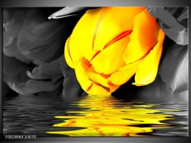 Foto canvas schilderij Tulpen | Geel, Grijs, Zwart