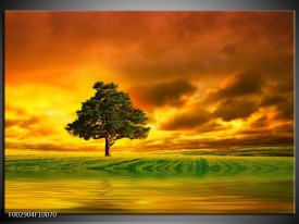 Foto canvas schilderij Natuur | Groen, Bruin, Wit