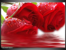 Foto canvas schilderij Roos | Rood, Grijs, Wit