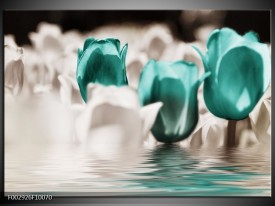 Glas schilderij Tulpen | Wit, Blauw