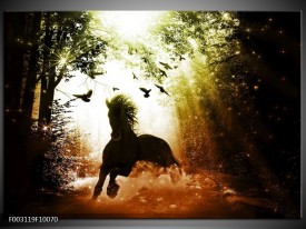 Foto canvas schilderij Paard | Groen, Zwart, Wit