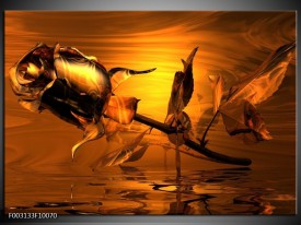 Foto canvas schilderij Roos | Rood, Goud, Geel