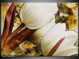Foto canvas schilderij Tulpen | Wit, Bruin, Geel