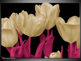 Glas schilderij Tulpen | Wit, Zwart, Roze