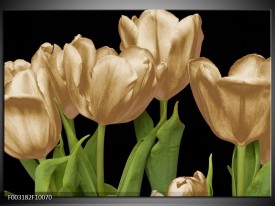 Foto canvas schilderij Tulpen | Goud, Groen, Zwart