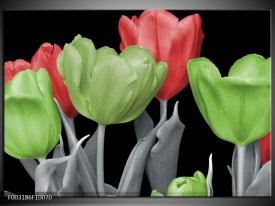 Glas schilderij Tulpen | Groen, Grijs, Rood