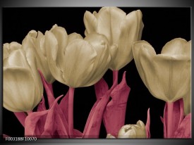 Foto canvas schilderij Tulpen | Wit, Zwart, Roze