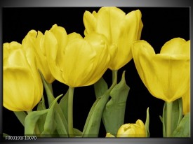 Glas schilderij Tulpen | Geel, Groen, Zwart