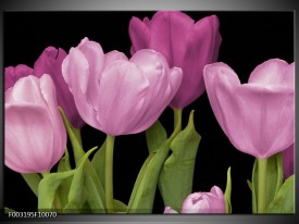 Foto canvas schilderij Tulpen | Paars, Groen, Zwart