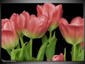 Foto canvas schilderij Tulpen | Rood, Groen, Zwart