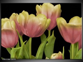 Glas schilderij Tulpen | Roze, Zwart, Wit
