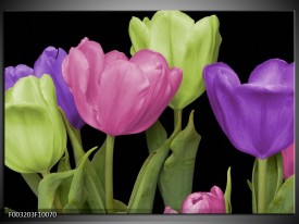 Foto canvas schilderij Tulpen | Paars, Groen, Roze
