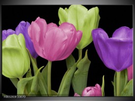 Glas schilderij Tulpen | Paars, Groen, Roze