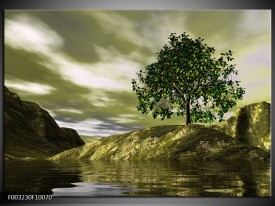 Foto canvas schilderij Natuur | Groen, Grijs, Wit