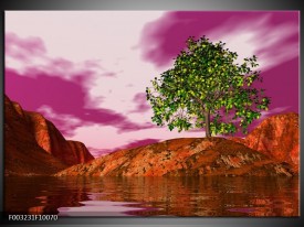Foto canvas schilderij Natuur | Groen, Paars, Roze