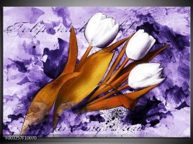 Glas schilderij Tulpen | Paars, Bruin, Wit