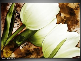 Glas schilderij Tulpen | Groen, Wit, Bruin