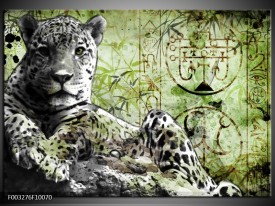 Foto canvas schilderij Dieren | Groen, Zwart, Wit