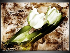 Glas schilderij Tulpen | Groen, Bruin, Wit