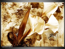 Foto canvas schilderij Bloem | Bruin, Wit