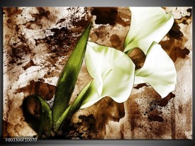 Glas schilderij Bloem | Bruin, Wit, Groen