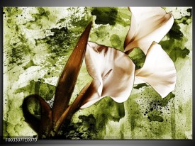 Glas schilderij Bloem | Bruin, Wit, Groen