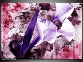 Foto canvas schilderij Bloem | Paars, Wit, Roze