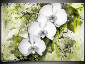 Foto canvas schilderij Orchidee | Wit, Groen