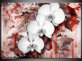 Foto canvas schilderij Orchidee | Wit, Rood