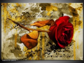 Foto canvas schilderij Roos | Rood, Bruin, Geel