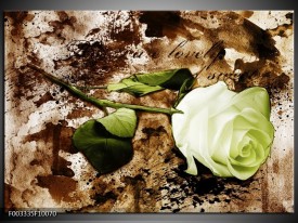 Foto canvas schilderij Roos | Groen, Bruin, Wit