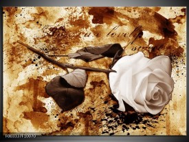 Foto canvas schilderij Roos | Bruin, Wit