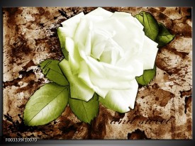 Foto canvas schilderij Roos | Bruin, Wit, Groen