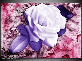 Foto canvas schilderij Roos | Paars, Wit, Roze