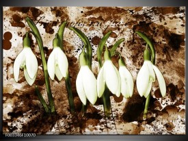 Foto canvas schilderij Bloem | Groen, Bruin, Wit