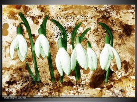 Foto canvas schilderij Bloem | Groen, Bruin, Wit