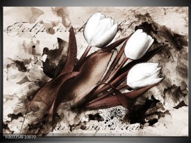 Foto canvas schilderij Tulpen | Bruin, Zwart, Wit