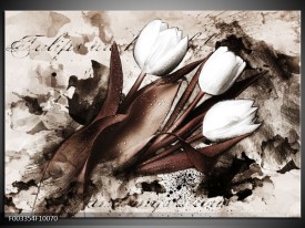 Glas schilderij Tulpen | Bruin, Zwart, Wit