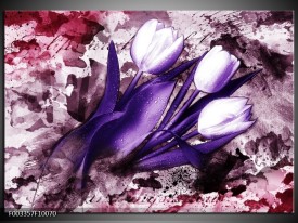 Foto canvas schilderij Tulpen | Paars, Wit, Roze