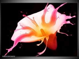 Foto canvas schilderij Bloem | Roze, Geel, Oranje