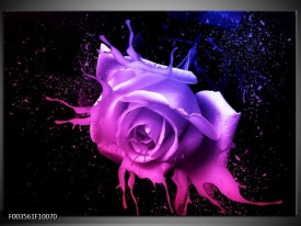 Foto canvas schilderij Roos | Roze, Paars, Blauw