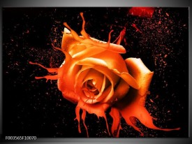 Foto canvas schilderij Roos | Oranje, Zwart