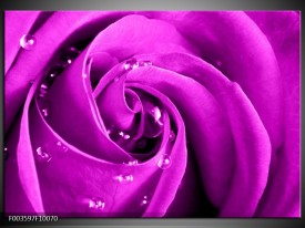 Foto canvas schilderij Roos | Paars