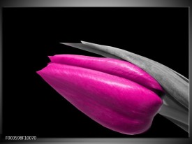 Foto canvas schilderij Tulp | Paars, Zwart, Grijs