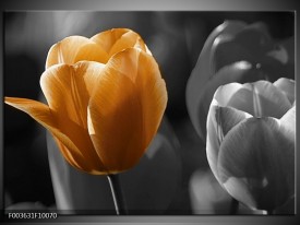 Foto canvas schilderij Tulp | Geel, Oranje, Grijs