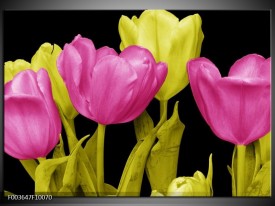 Glas schilderij Tulp | Roze, Geel, Zwart